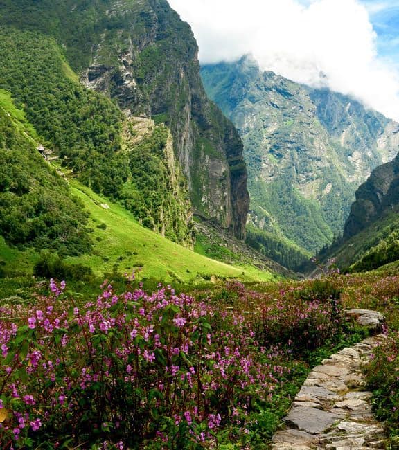 Valley Of Flowers Complete Guide